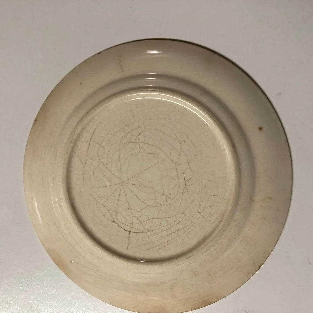 Vintage Salad Plates (2) 6 Inches with Pink & Blue Flowers / Roses